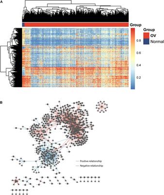 Identification and Analysis of An Epigenetically Regulated Five-lncRNA Signature Associated With Outcome and Chemotherapy Response in Ovarian Cancer